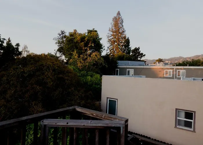 Spacious, Sunny House In Berkeley/Oakland Rockridge